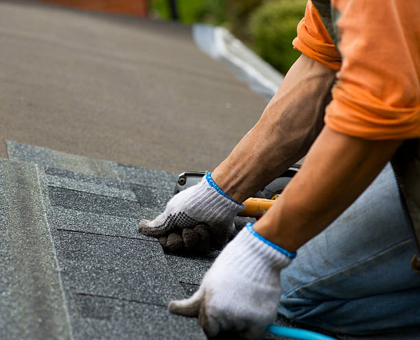 Best Roof Gutter Cleaning  in Kenworth, IL